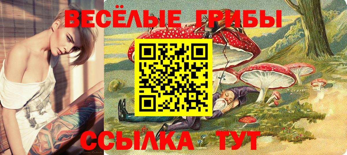 Галлюциногенные грибы мицелий  Вход с VPN  купить наркотики цена  Псилоцибиновые грибы ЛСД  Трёхгорный 